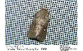 Athetis Athetis