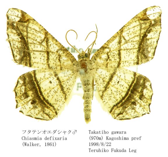 ヤミラミ 砂漠のきせき 044/053 PSA 10 1ST ED 世界に69 ヤミラミ 砂漠のきせき 044/053 PSA 10 1ST ED 世界に69 Pokémon TCG
