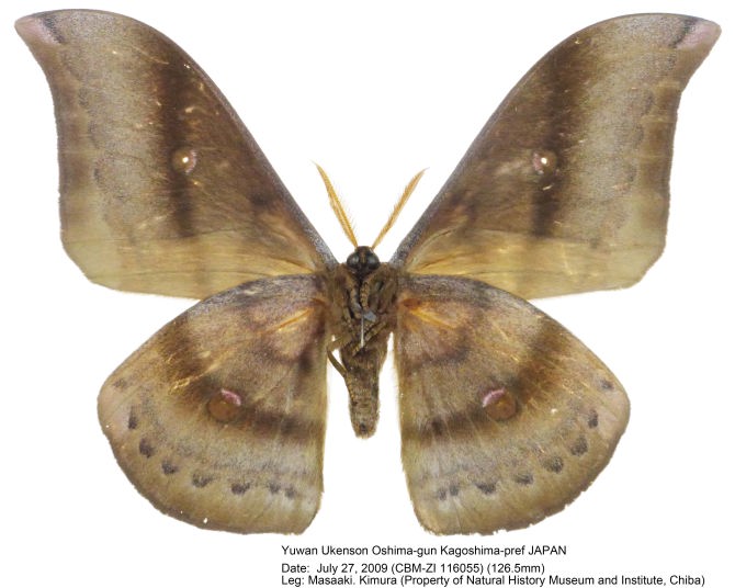 CBM-ZI_116055u.jpg