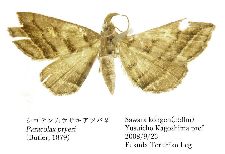 BF080923.jpg