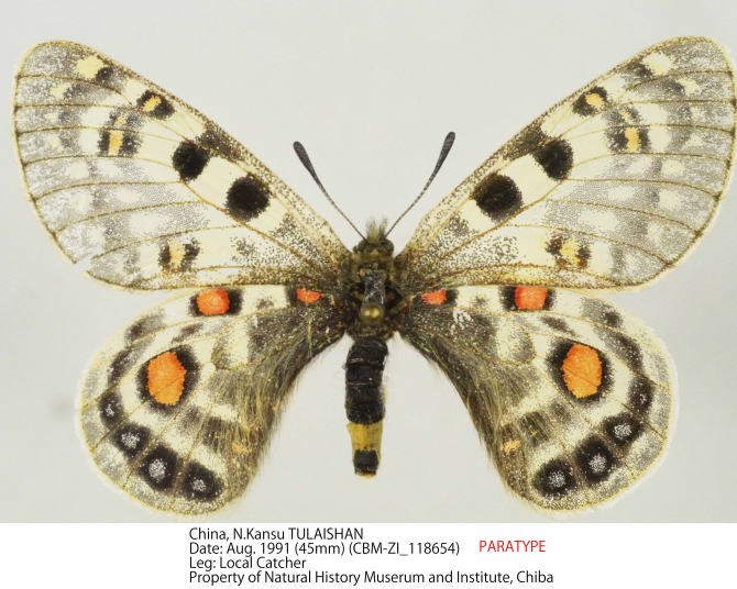 CBM-ZI_1186841.jpg