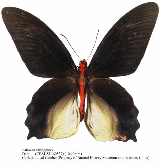 CBM-ZI_160537.jpg