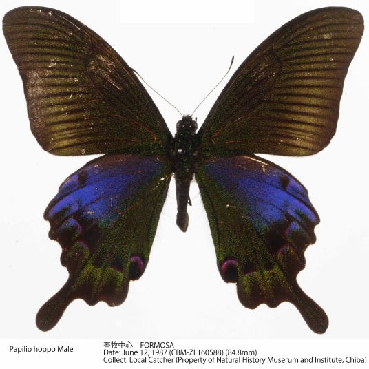 CBM-ZI_160588.jpg