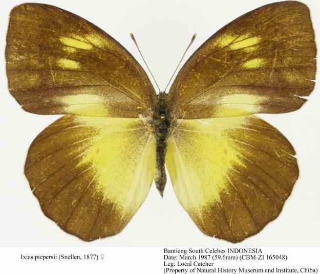 CBM-ZI_165048.jpg