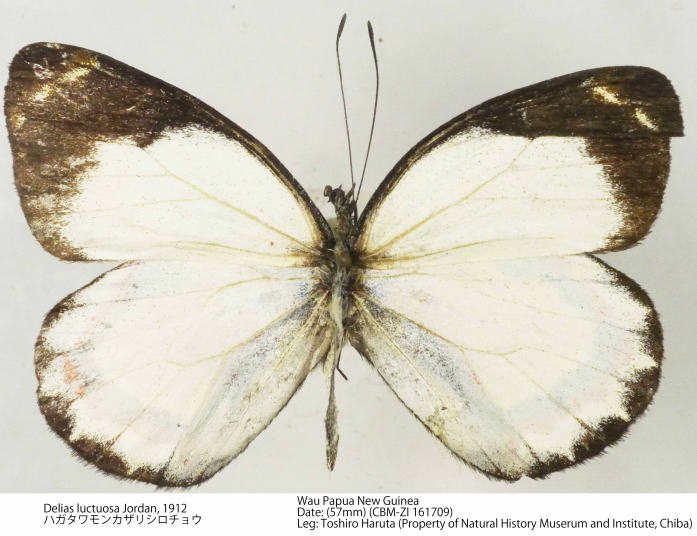 CBM-ZI_161709.jpg