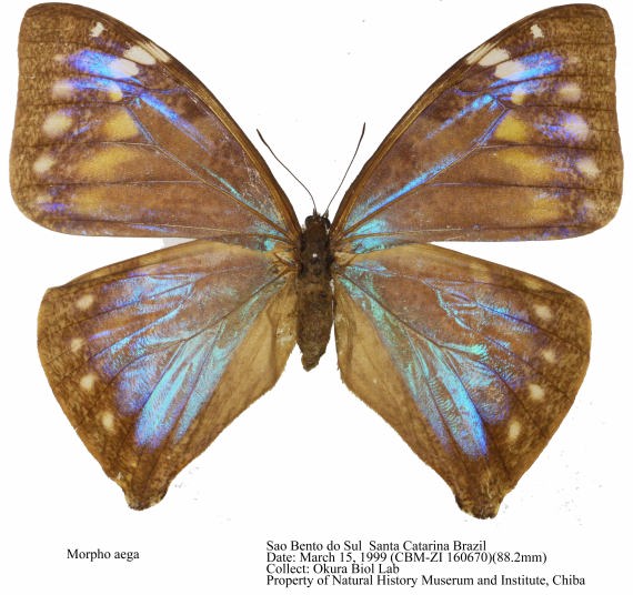 CBM-ZI_160670.jpg