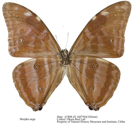 CBM-ZI_160750u.jpg
