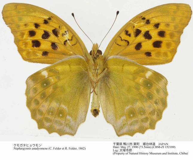 CBM-ZI_152189u.jpg